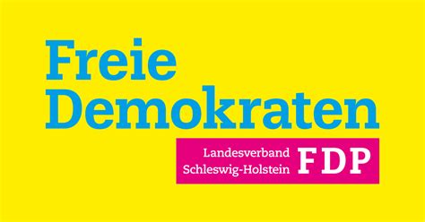 fdp wahlprogramm sh